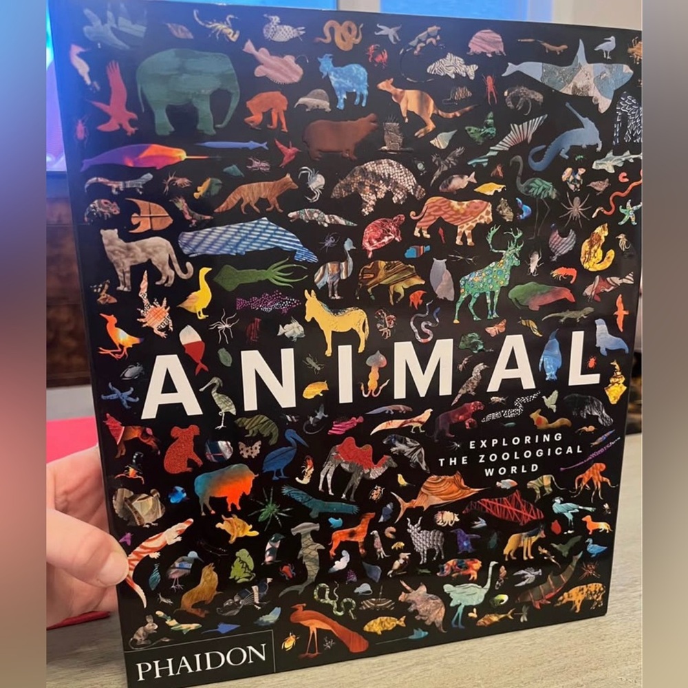 Colorful Animal Exploration Book
